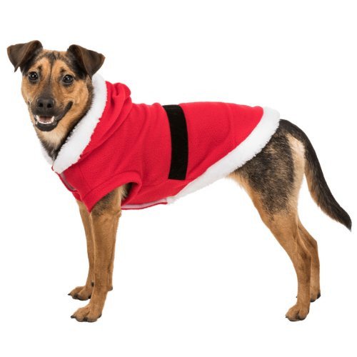 Déguisement Noël pour chien
