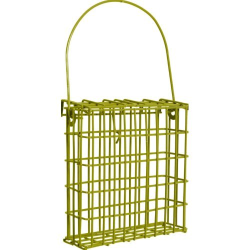 Image35.jpg