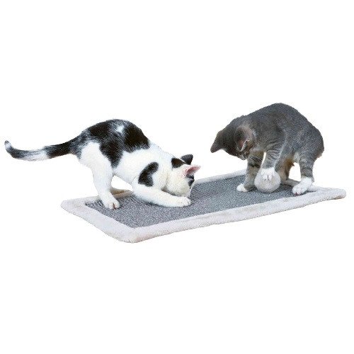Tapis griffoir avec jouet suspendu chat