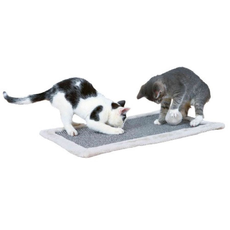 Tapis griffoir avec jouet suspendu chat