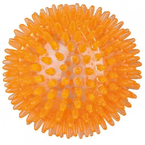 Photo 1.jpg
