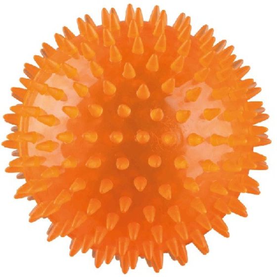 Photo 1.jpg