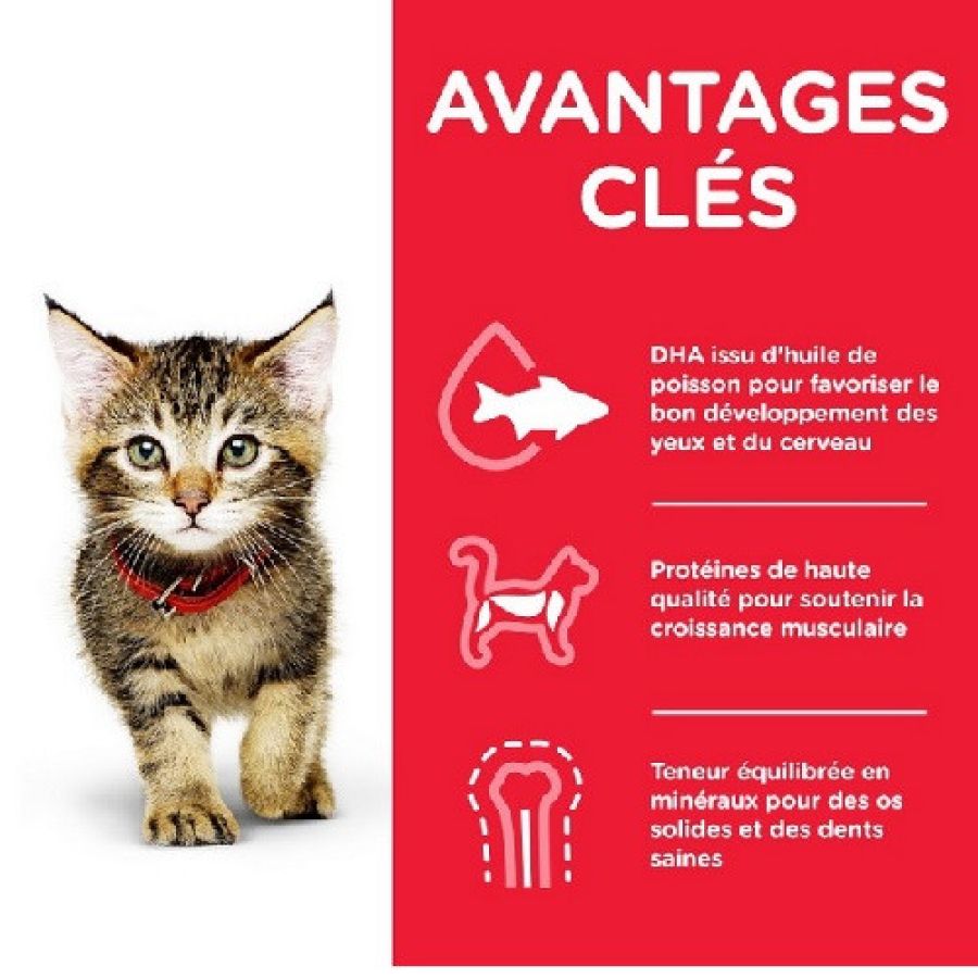 Sachet chaton Multipack Poulet & Poisson