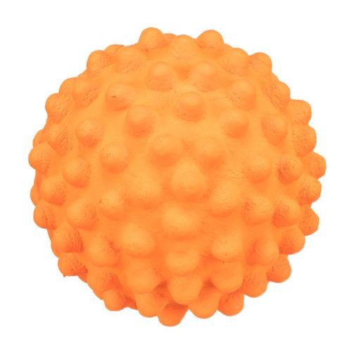 Image37.jpg