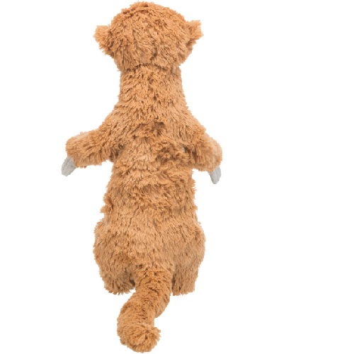 image 1.png
