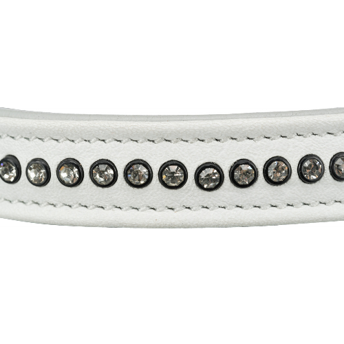 image 1.png