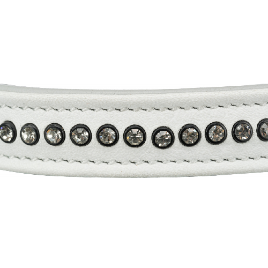 image 1.png