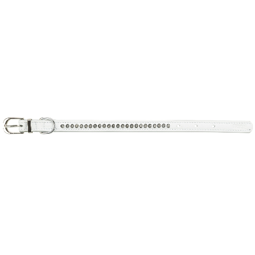 image 1.png