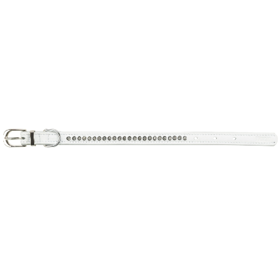 image 1.png