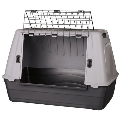 Image1.jpg