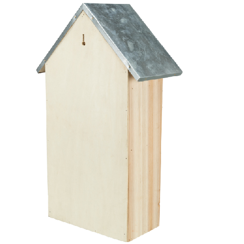 image 1.png