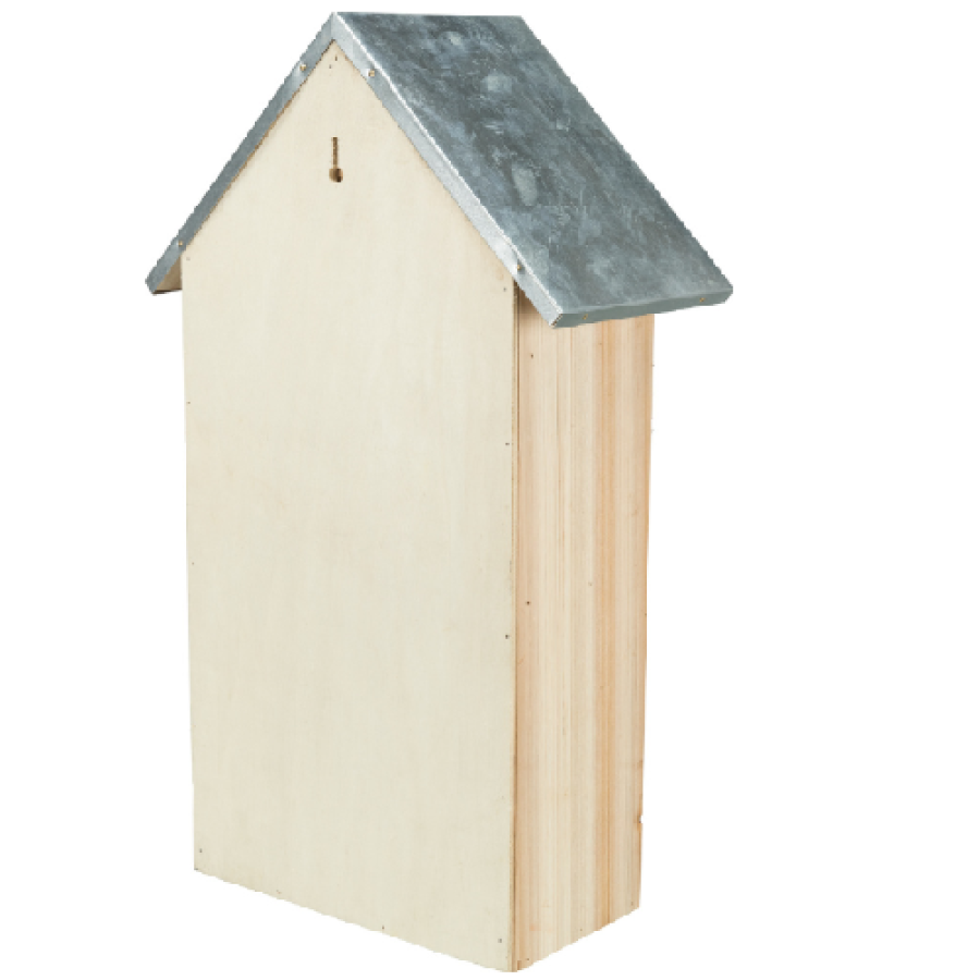 image 1.png