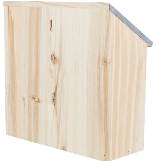 image 1.png