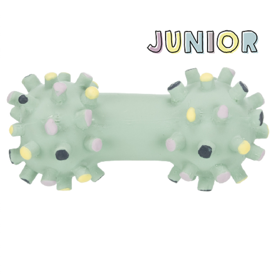 Jouet Mini Haltère Junior pour Chiot