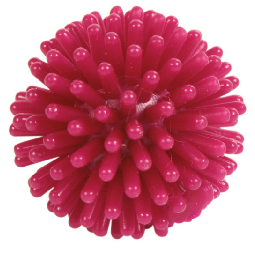 image 1.png