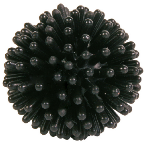 image 1.png