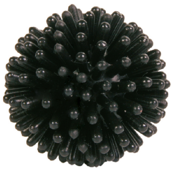 image 1.png