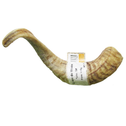 image 1.png