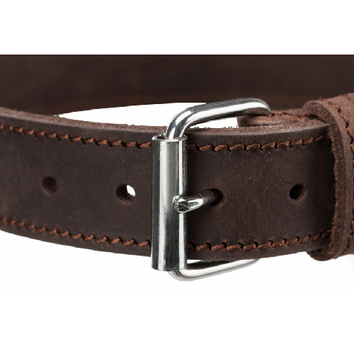 Collier Rustic en cuir gras pour Chien