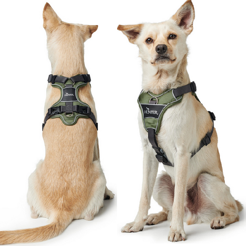Harnais Divo chien VERT, attache anti traction