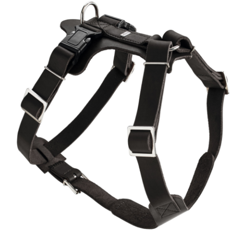 Harnais Aalborg noir pour Berger Allemand Malinois.