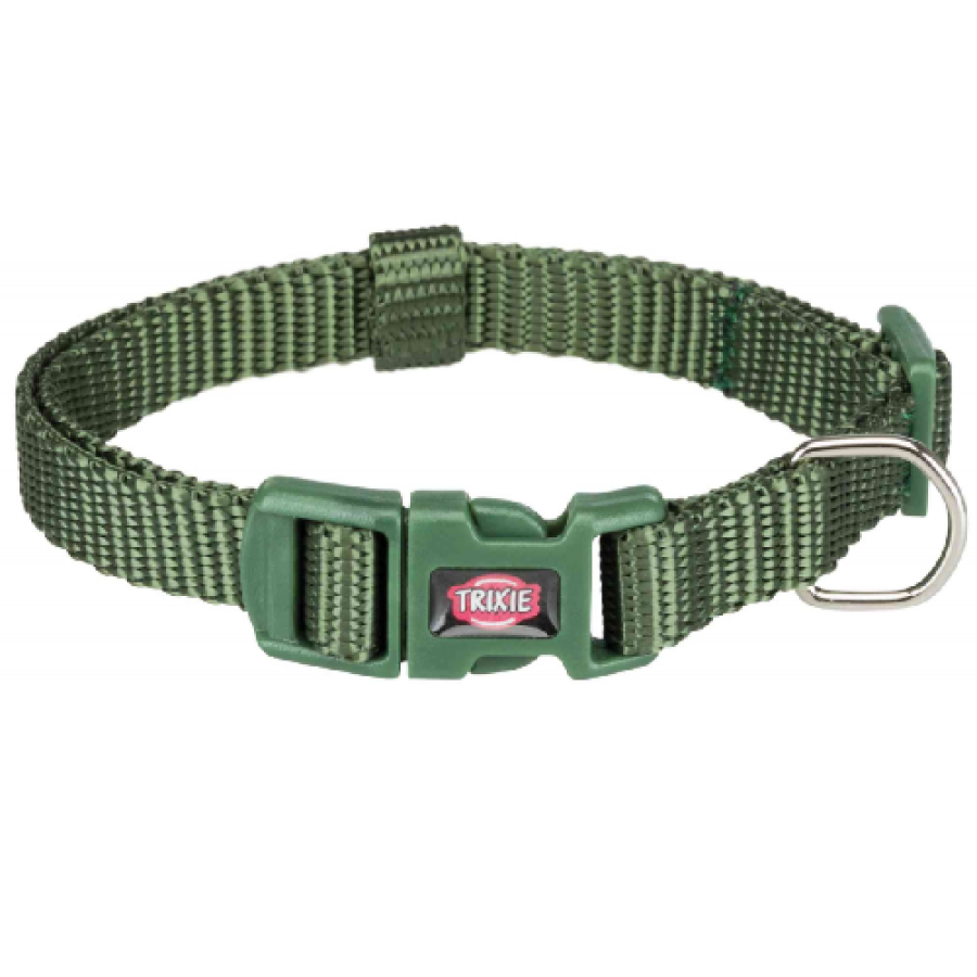 Collier Premium pour Chien Vert Forêt