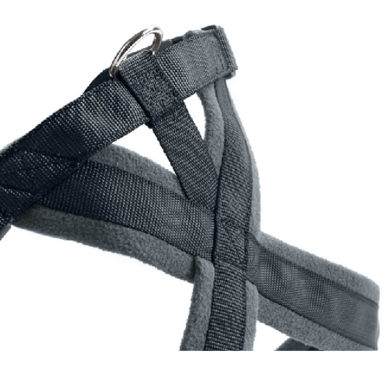 image 1.png