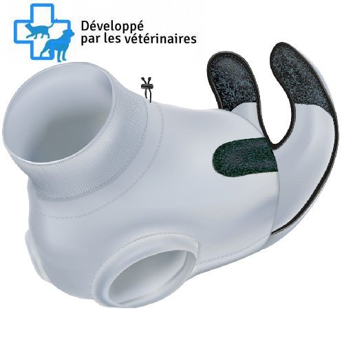 Body de protection pour chat