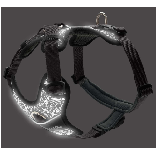image 1.png