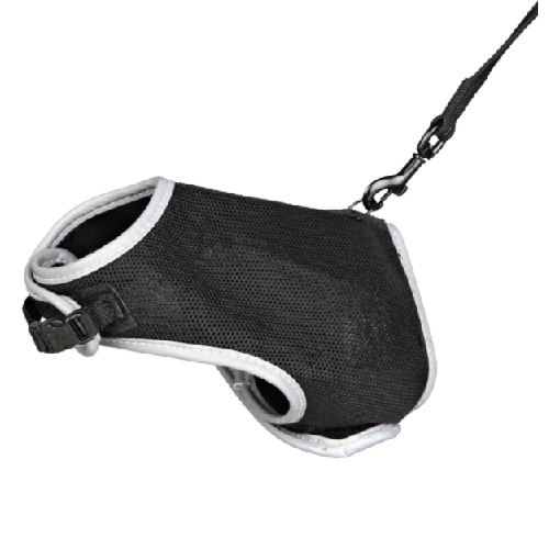 image 1.png
