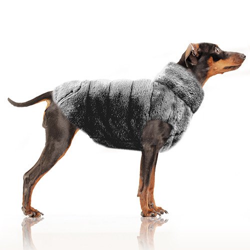 MP1765 - KRISTEN Dog 1.jpg