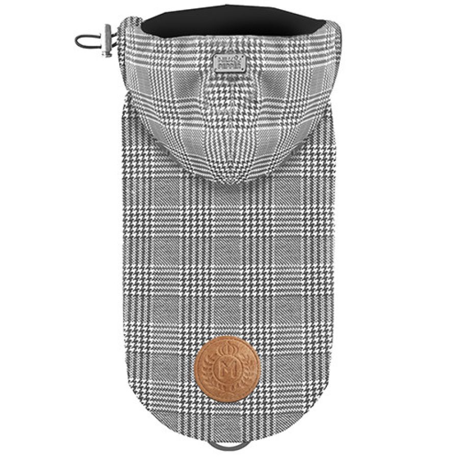 MP1791 GREGOR Dog.jpg