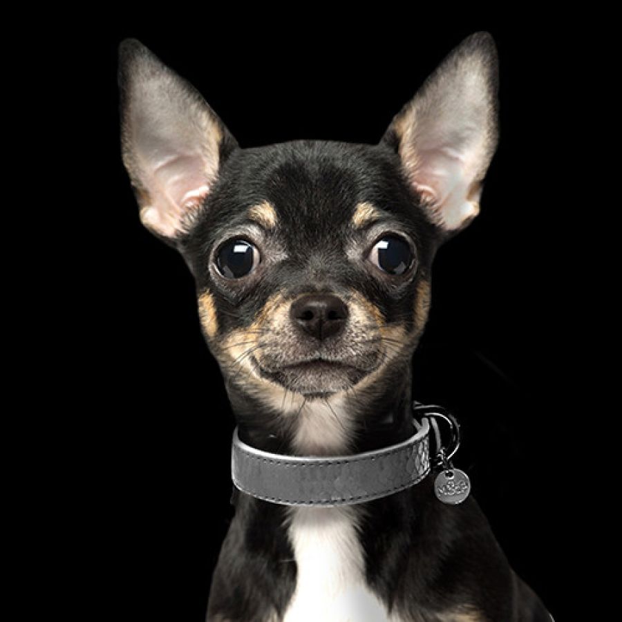 MP4173 SAFIRA Gris.jpg