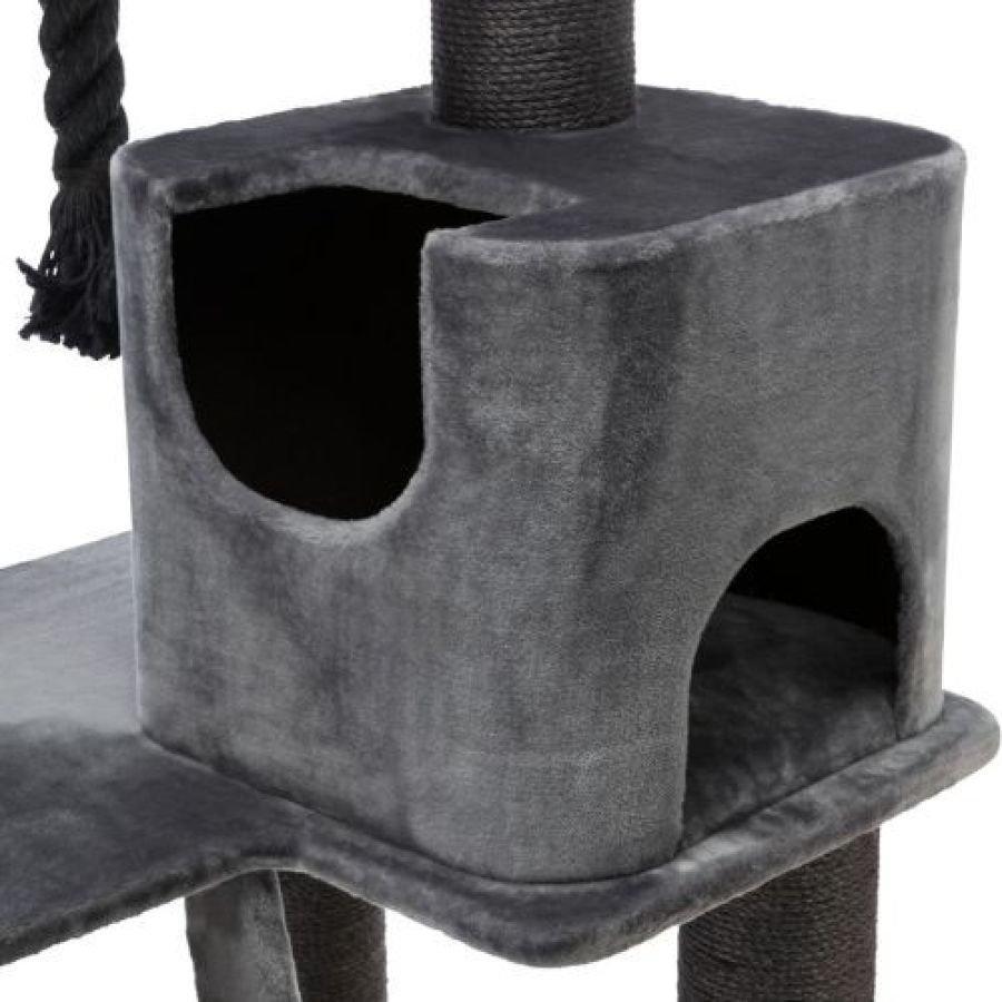 Arbre à chat XXL, gros chat, Maine Coon Sergio