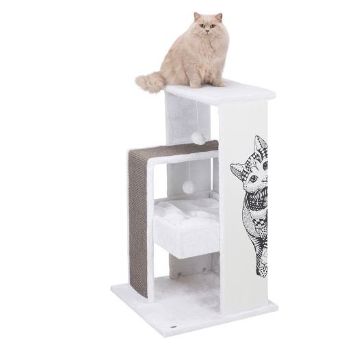 184895_PHO_PRO_CAT_CLIP_44721-2.jpg