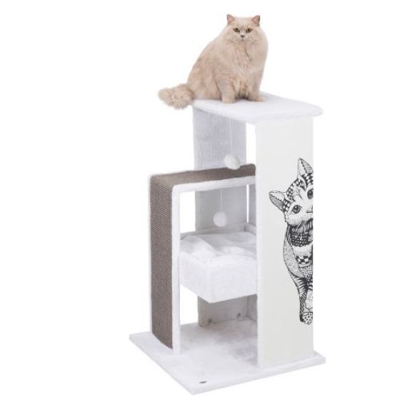 184895_PHO_PRO_CAT_CLIP_44721-2.jpg