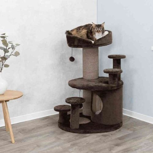 176520_PHO_PRO_CAT_CLIP_44930-1.jpg