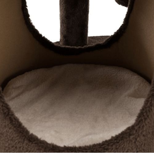 176520_PHO_PRO_CAT_CLIP_44930-1.jpg