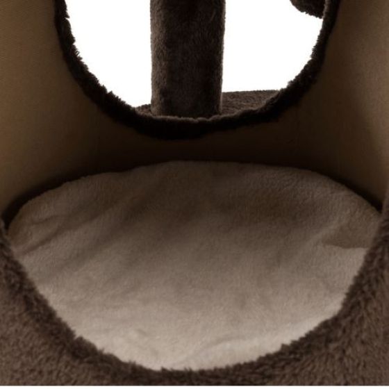 176520_PHO_PRO_CAT_CLIP_44930-1.jpg