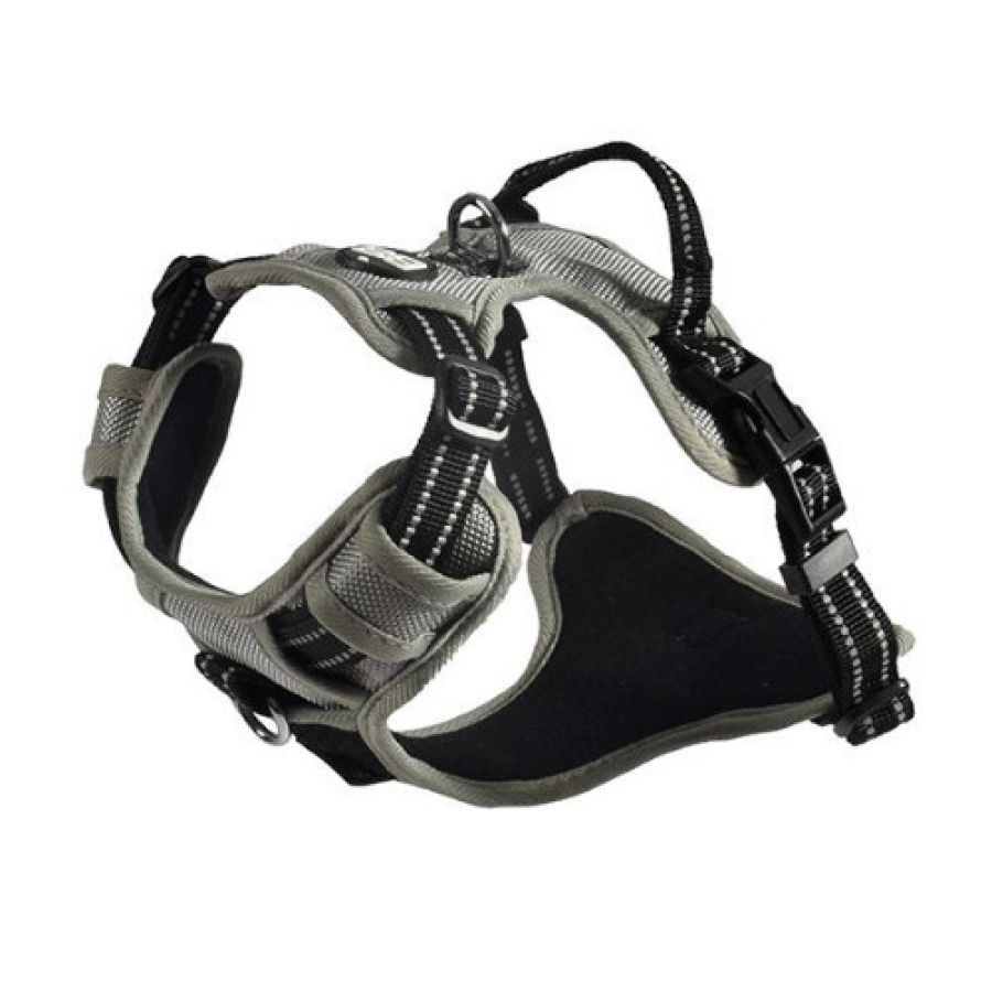image 3.png