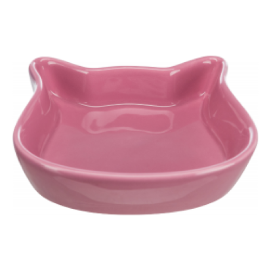 My project(9)_ccexpress.png