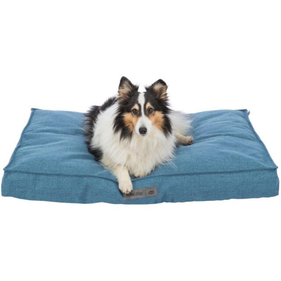 Coussin Talis bleu, déhoussable, toutes tailles XXL