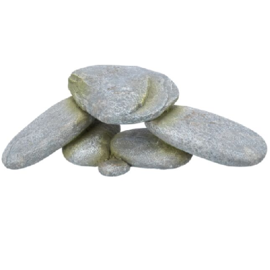 image 1.png