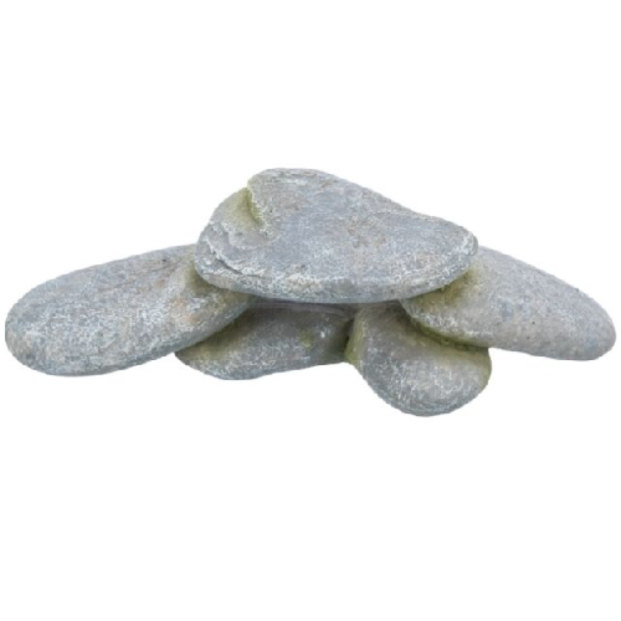 image 1.png