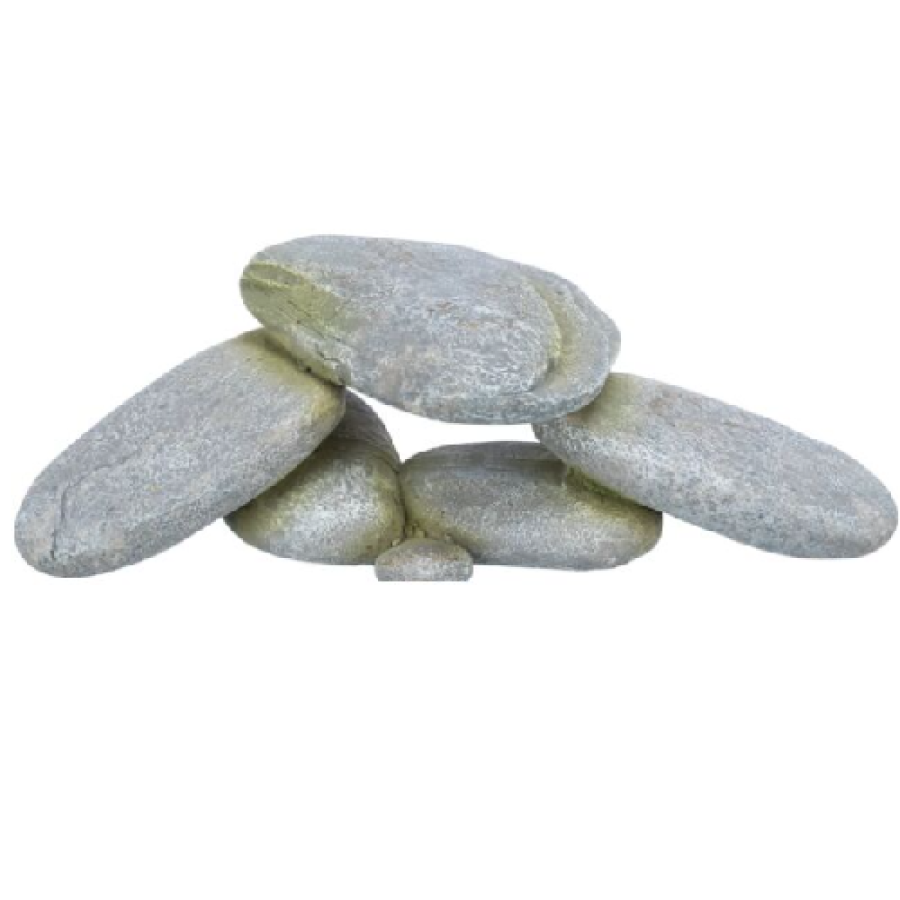 image 1.png