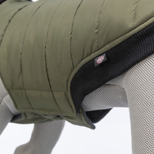 Manteau pour chien Arlay vert foncé