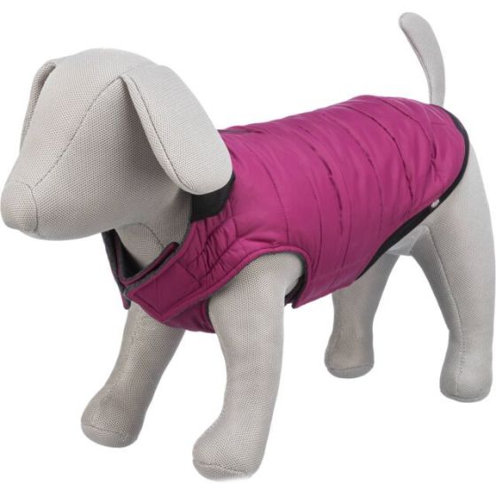 originals_PHO_IMAGE_DOG_PHO_IMAGE_DOG_Havaneser-Mia-Mantel-Arlay-Natur-3_#SALL_#AWK_#V1.jpg