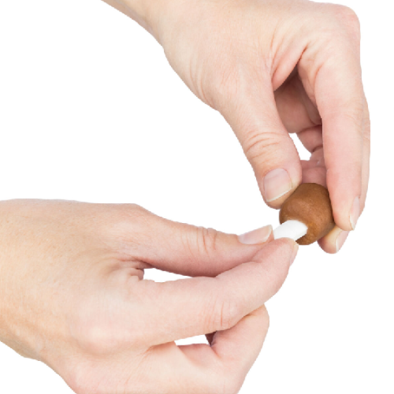 image 1.png