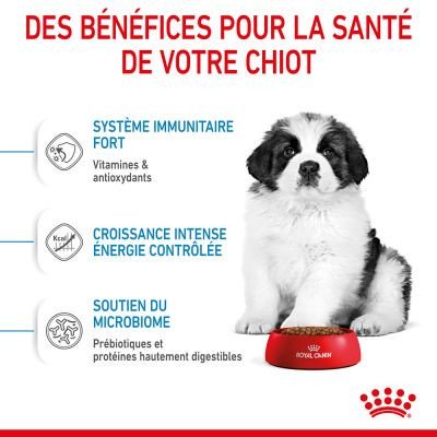 253099_pla_royalcanin_dog_giant_puppy_hs_01_1.jpg