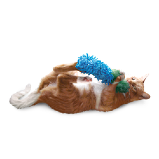 CR51_ASRT_1.png